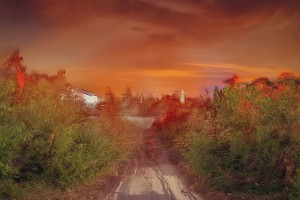 NBA转会风云：雄鹿续约替补控卫，湖人开拓者捡漏未果